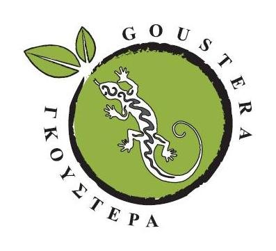 Λογότυπο Γκουστέρας (Color) kerkini logo